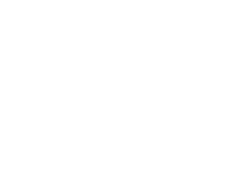 Avi Israeli Logo